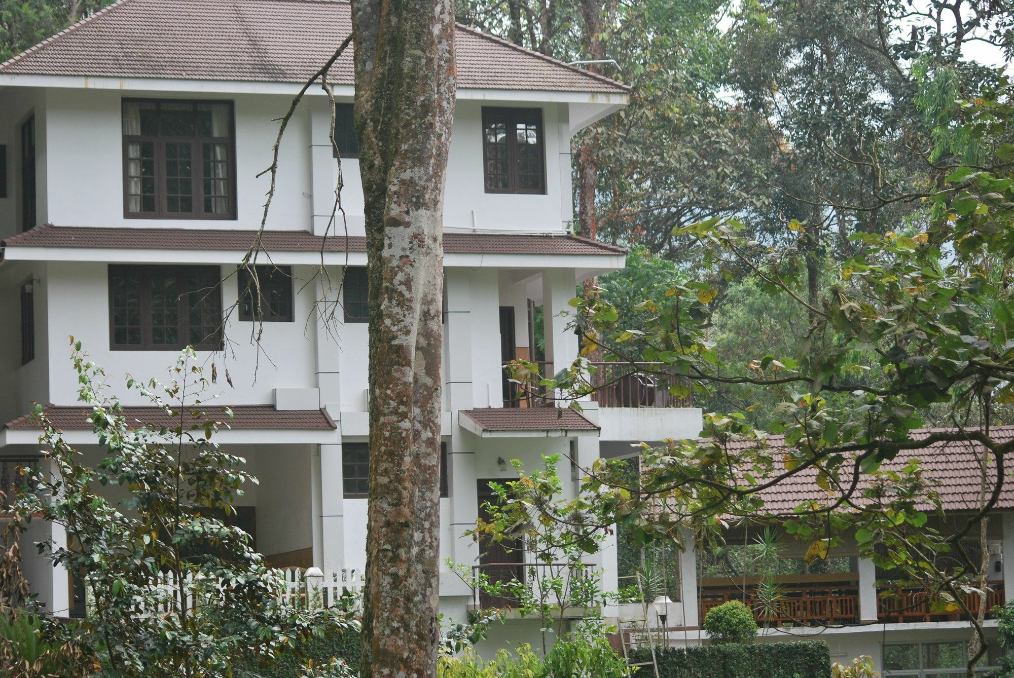 T Cherry Villa Муннар Экстерьер фото