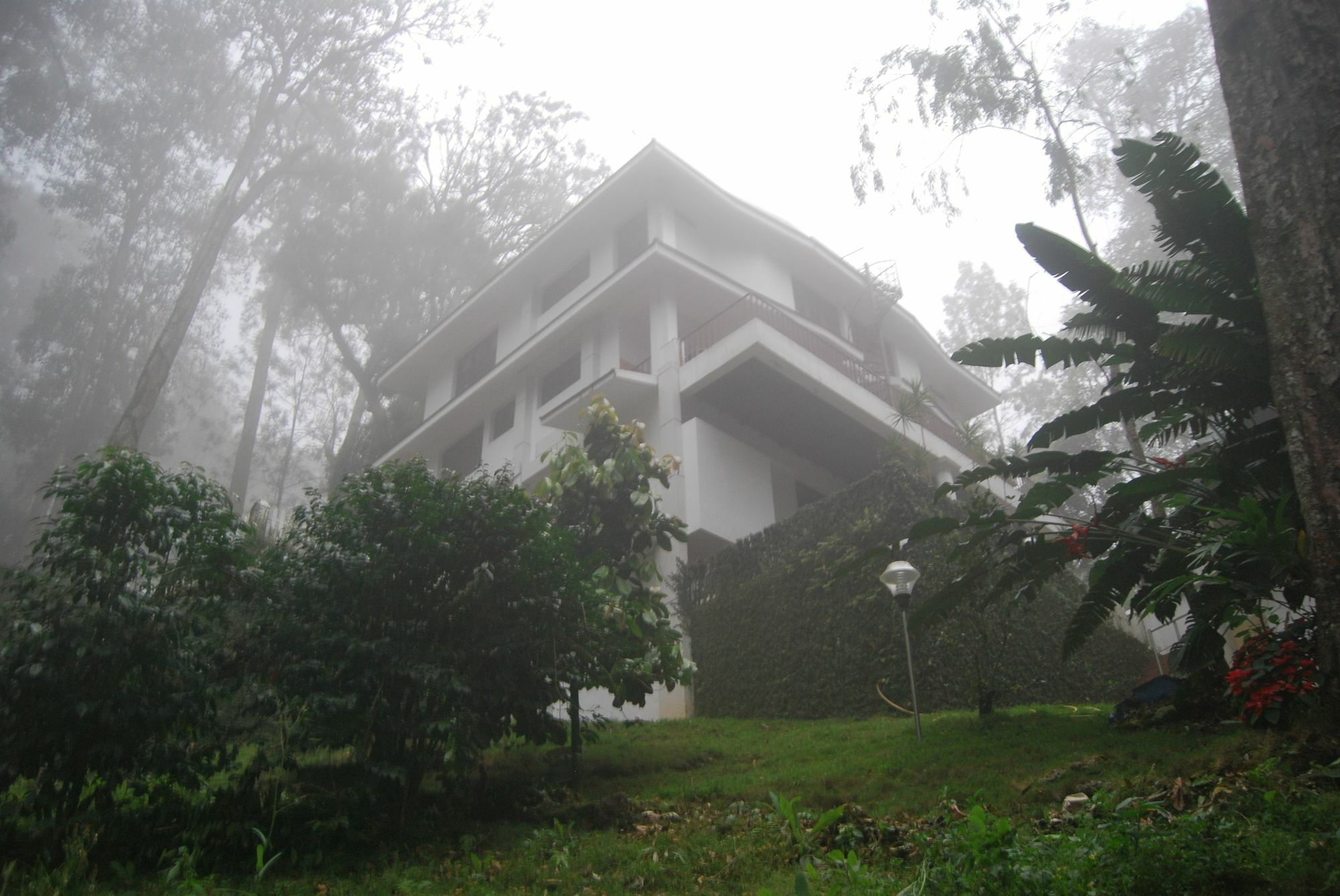 T Cherry Villa Муннар Экстерьер фото